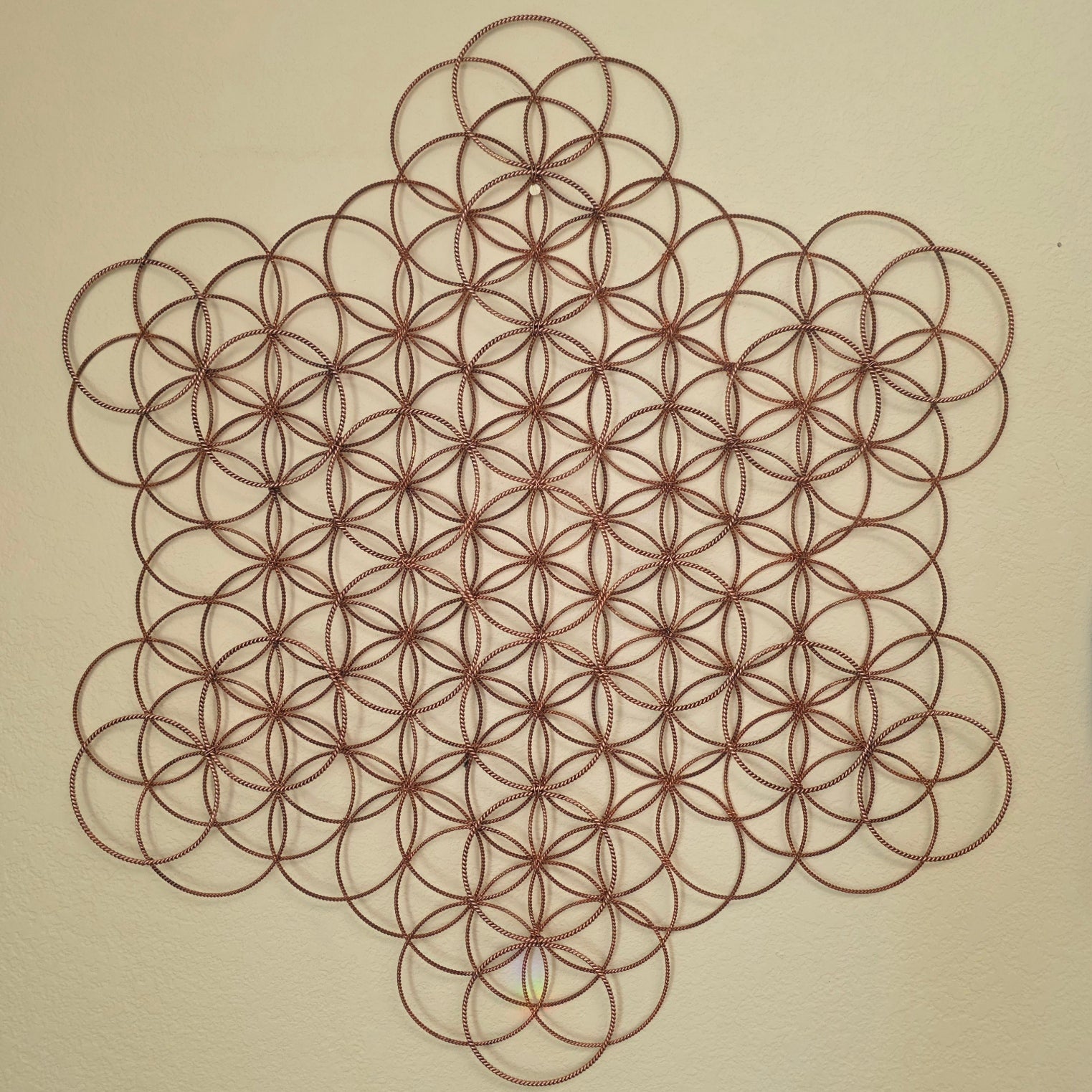 Expanded Flower