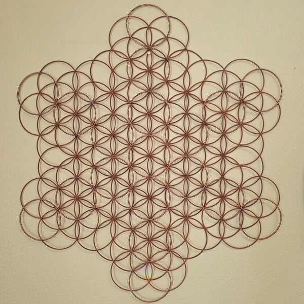 Expanded Flower
