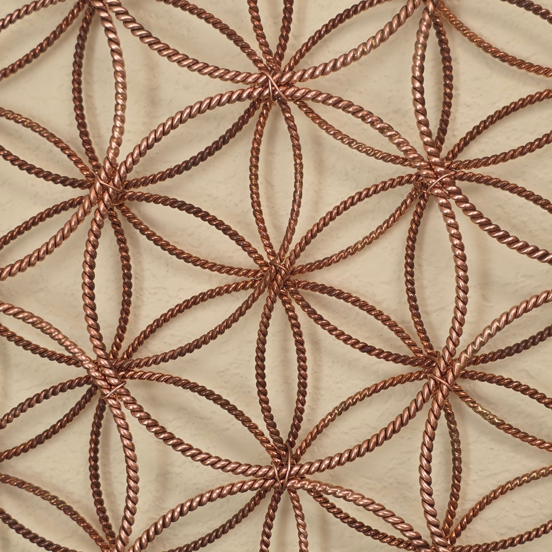 Expanded Flower
