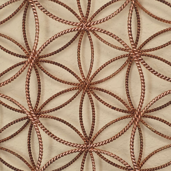 Expanded Flower
