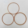 3 Dollar Plant Rings