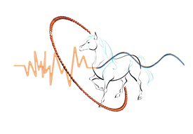 Horse Harmonizer Ring