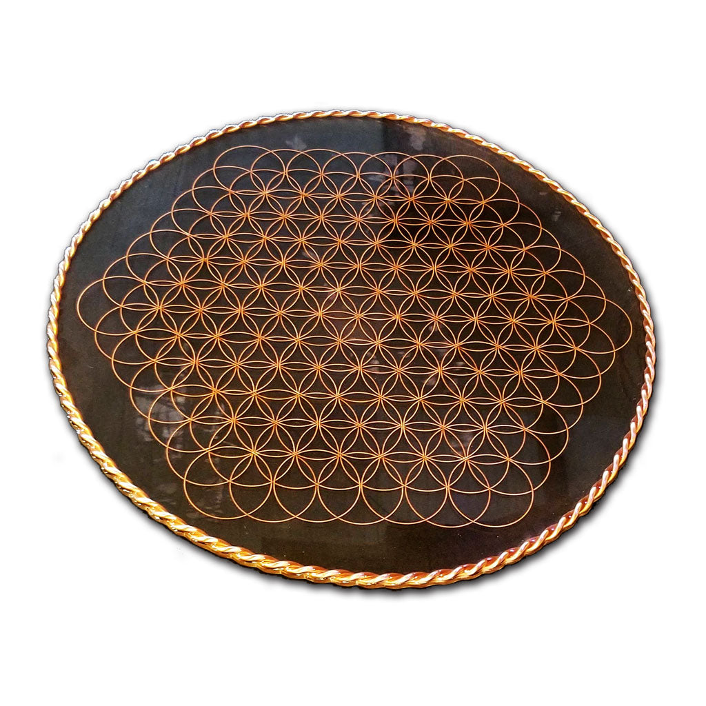 Fruit of Life Floorplate