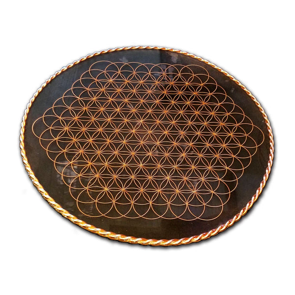Fruit of Life Floorplate