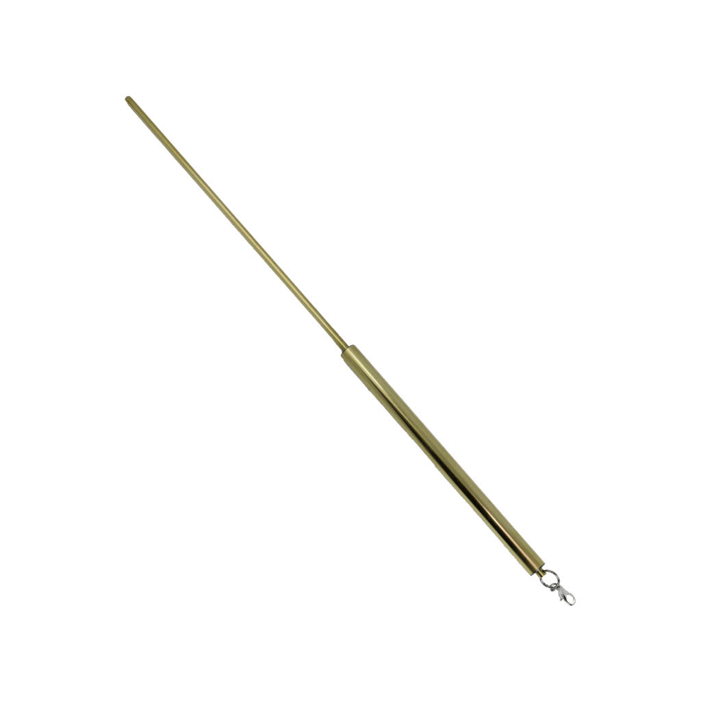 Practitioner Light Wand